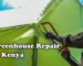 Greenhouse Repair in Kenya