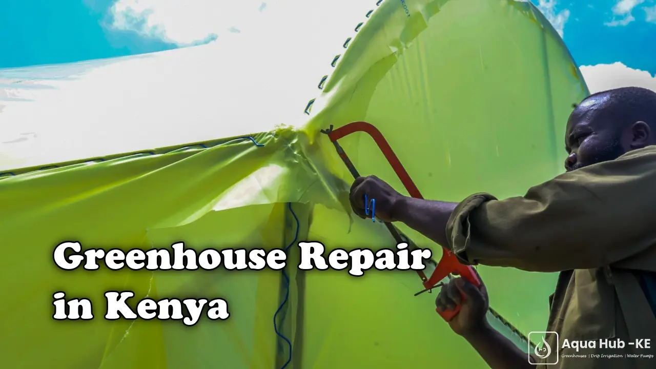 Greenhouse Repair in Kenya