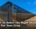 How to select a shade net for your crop