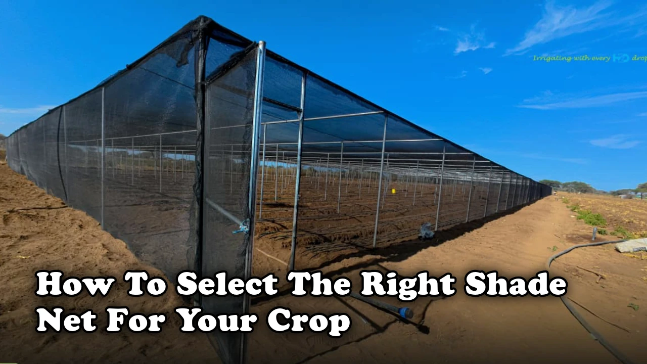 How to select a shade net for your crop