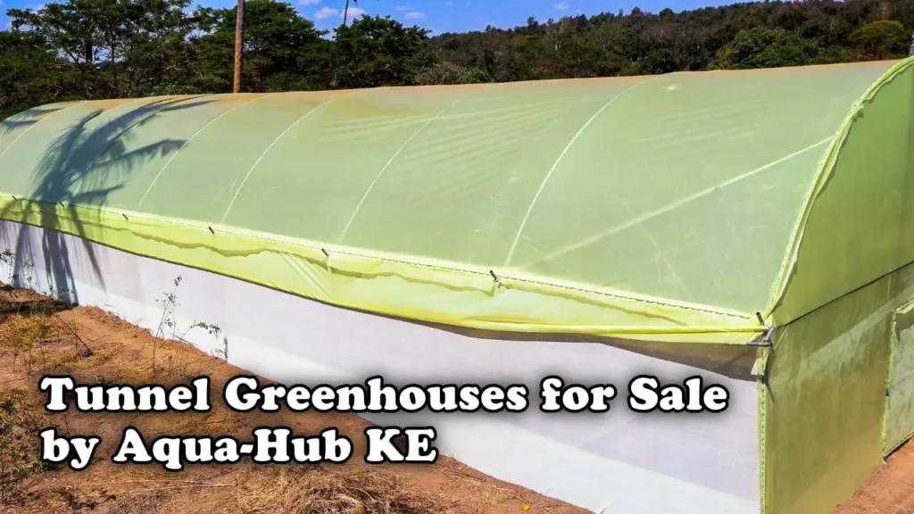 Tunnel greenhouses for sale by Aqua Hub Kenya