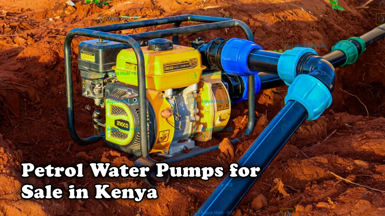 Petrol water pumps for sale in Kenya