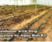 Greenhouse with drip irrigation by Aqua Hub Kenya