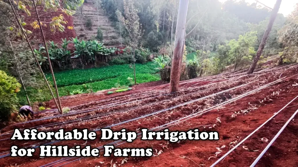Affordable drip irrigation for hillside farms