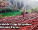 Affordable drip irrigation for hillside farms