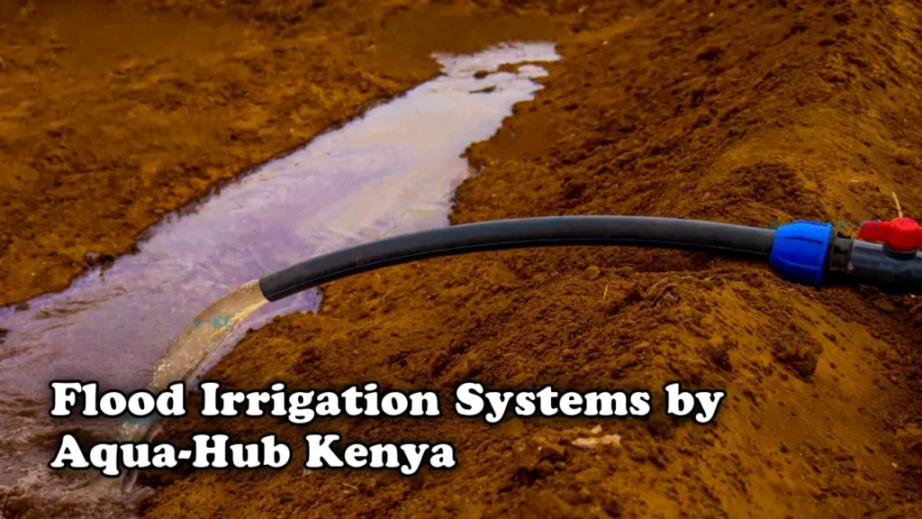 Flood irrigation systems by Aqua Hub Kenya