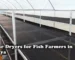 Solar Dryers for Fish Farmer in Kenya