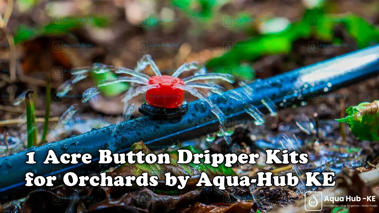 1 Acre Button Dripper Kits for Orchards by Aqua Hub Kenya