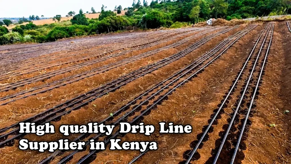 High quality drip line supplier in Kenya