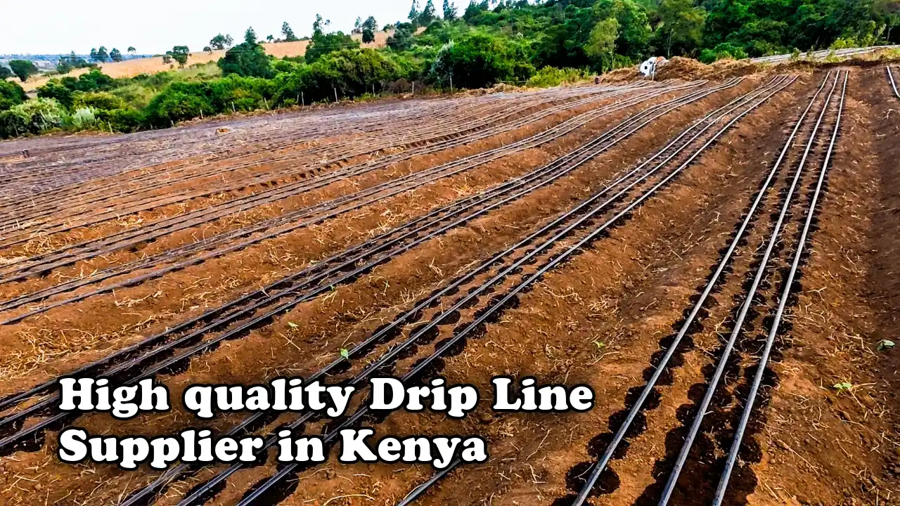 High quality drip line supplier in Kenya