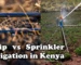Drip vs Sprinkler Irrigation in Kenya