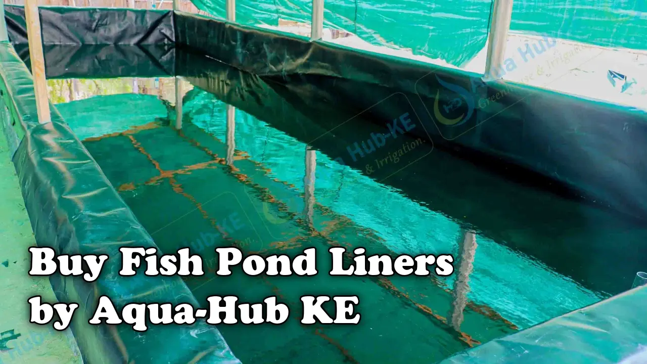 Buy fish pond liners by Aqua Hub KE