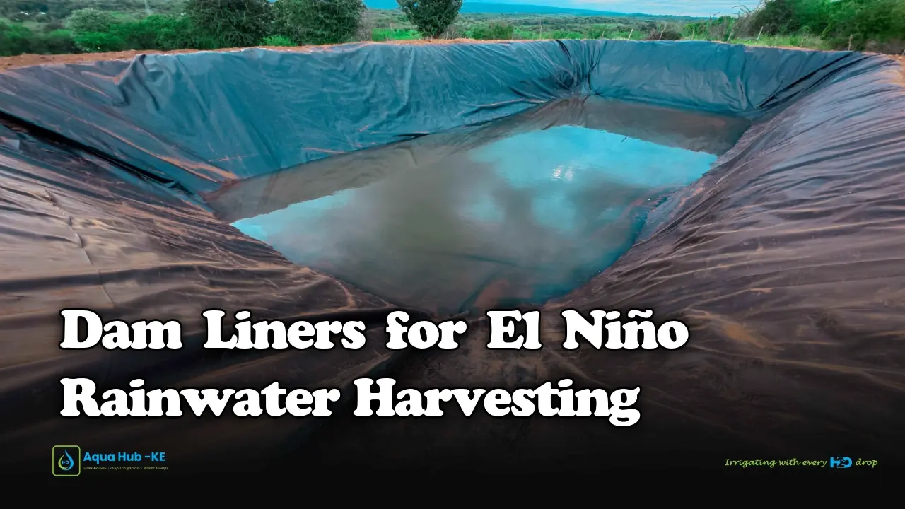 Dam liners for el nino rainwater harvesting