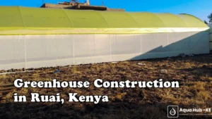 Greenhouse Construction in Ruai Kenya