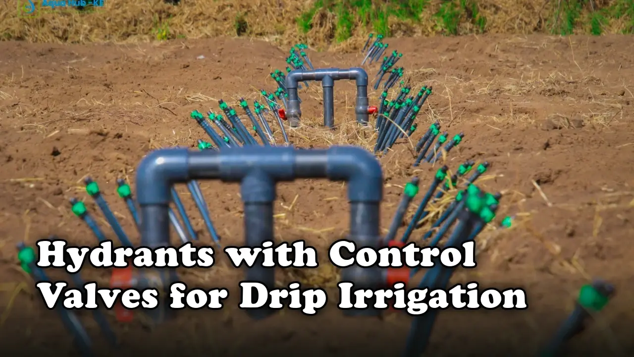 Hydrants with control valves for drip irrigation