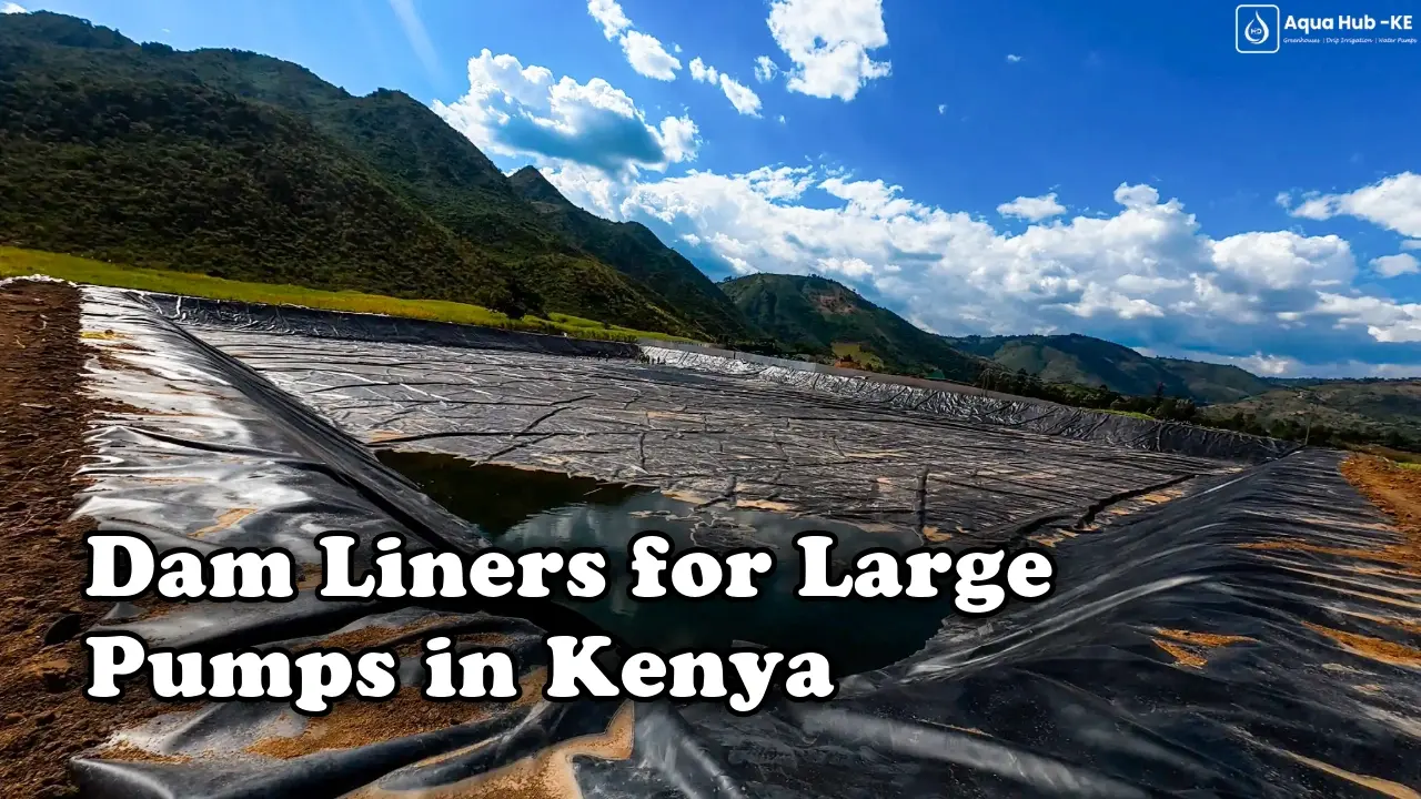 Dam liners for large farms in Kenya
