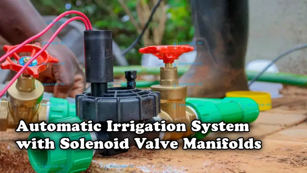 Automatic irrigation system with solenoid valve manifolds