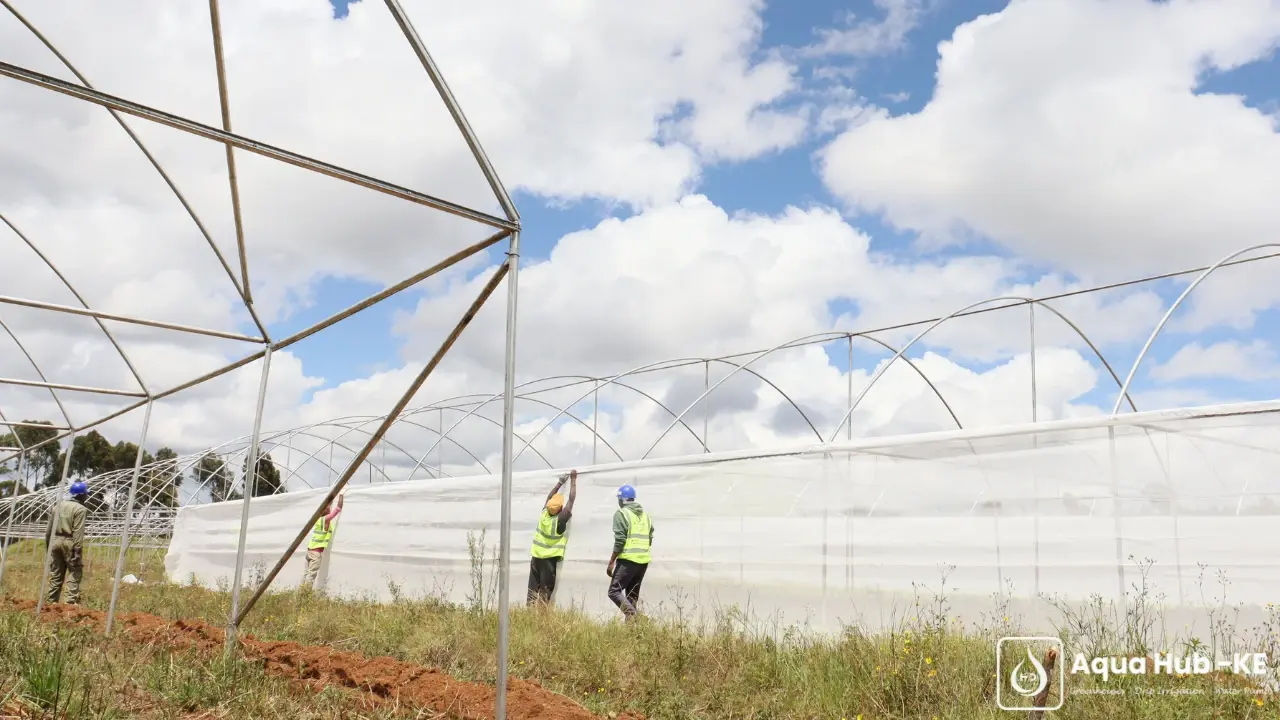 Best greenhouse pest protection by Aqua Hub Kenya
