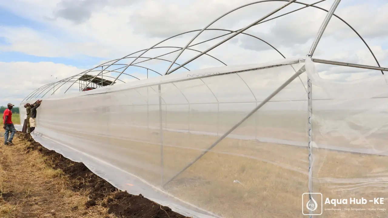 Insect mesh installation for a greenhouse to protect against pests
