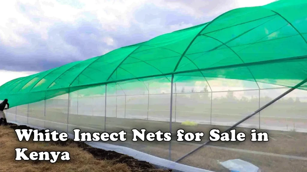 White insect nets for sale in Kenya
